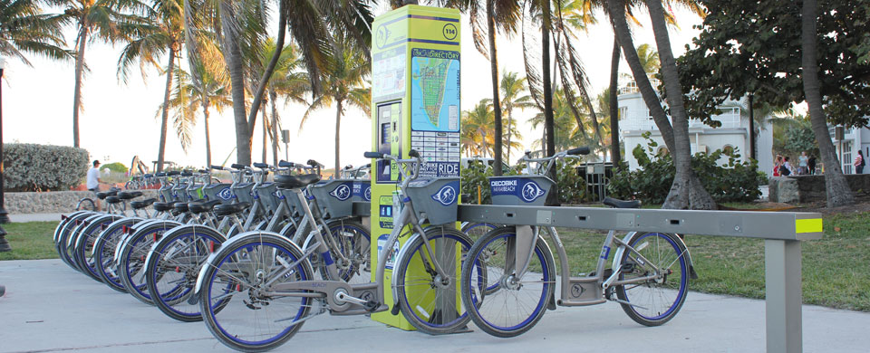 Bike Rack