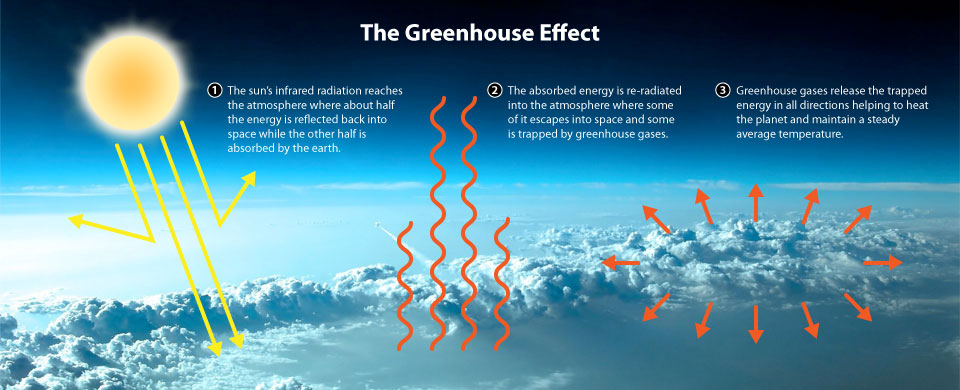 Greenhouse Effect