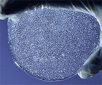Ice Core Slice