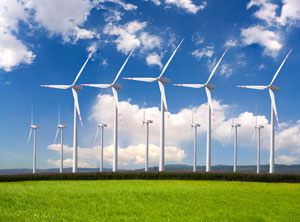 Windmills in a field